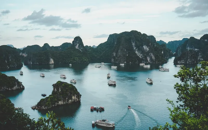 Vietnam Placement